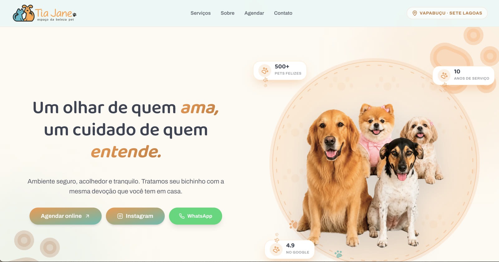 Site, agendamento e painel: Tia Jane